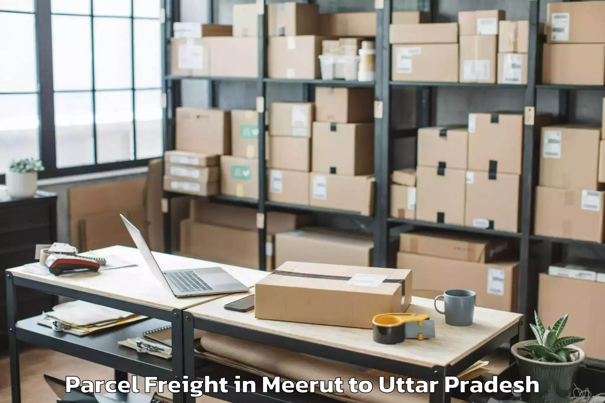 Meerut to Kaptanganj Parcel Freight Booking